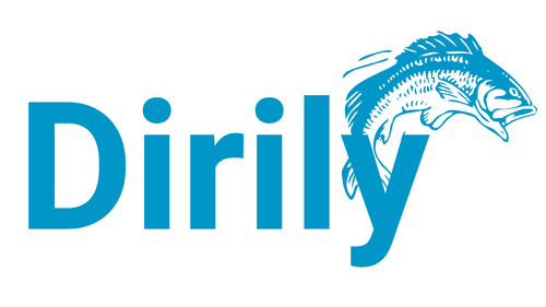 DIRILY