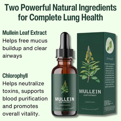 DirilyPure™ Mullein & Chlorophyll Extract